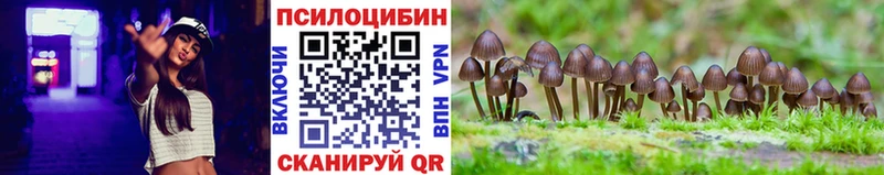 kraken как войти  где можно купить   Шумерля  Псилоцибиновые грибы мицелий 